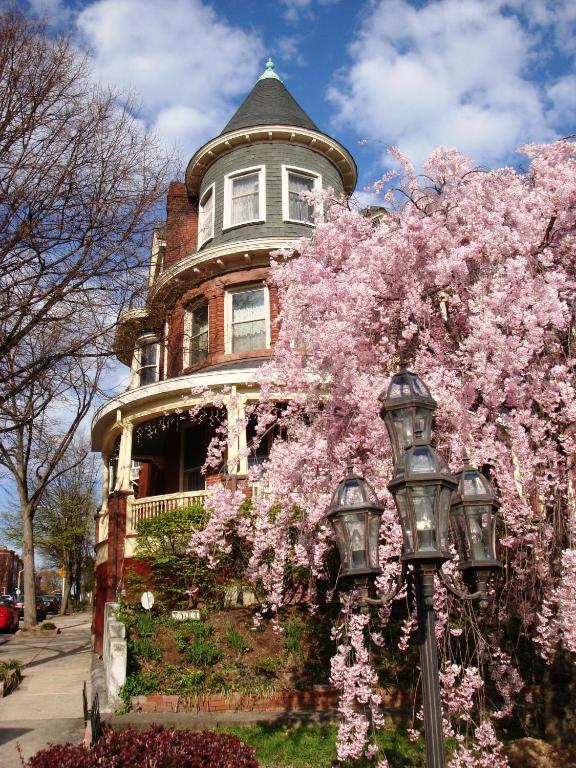 Wilson House Bed & Breakfast Baltimore Exterior photo